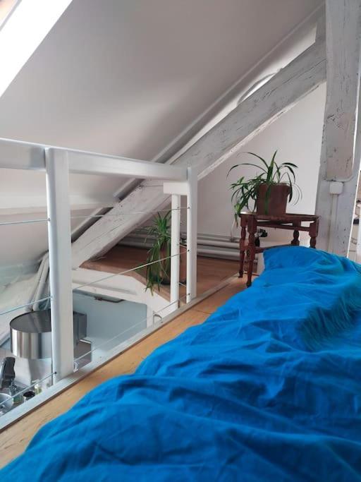Studio Sous Les Toits Et Mezzanine - Vincennes Kültér fotó