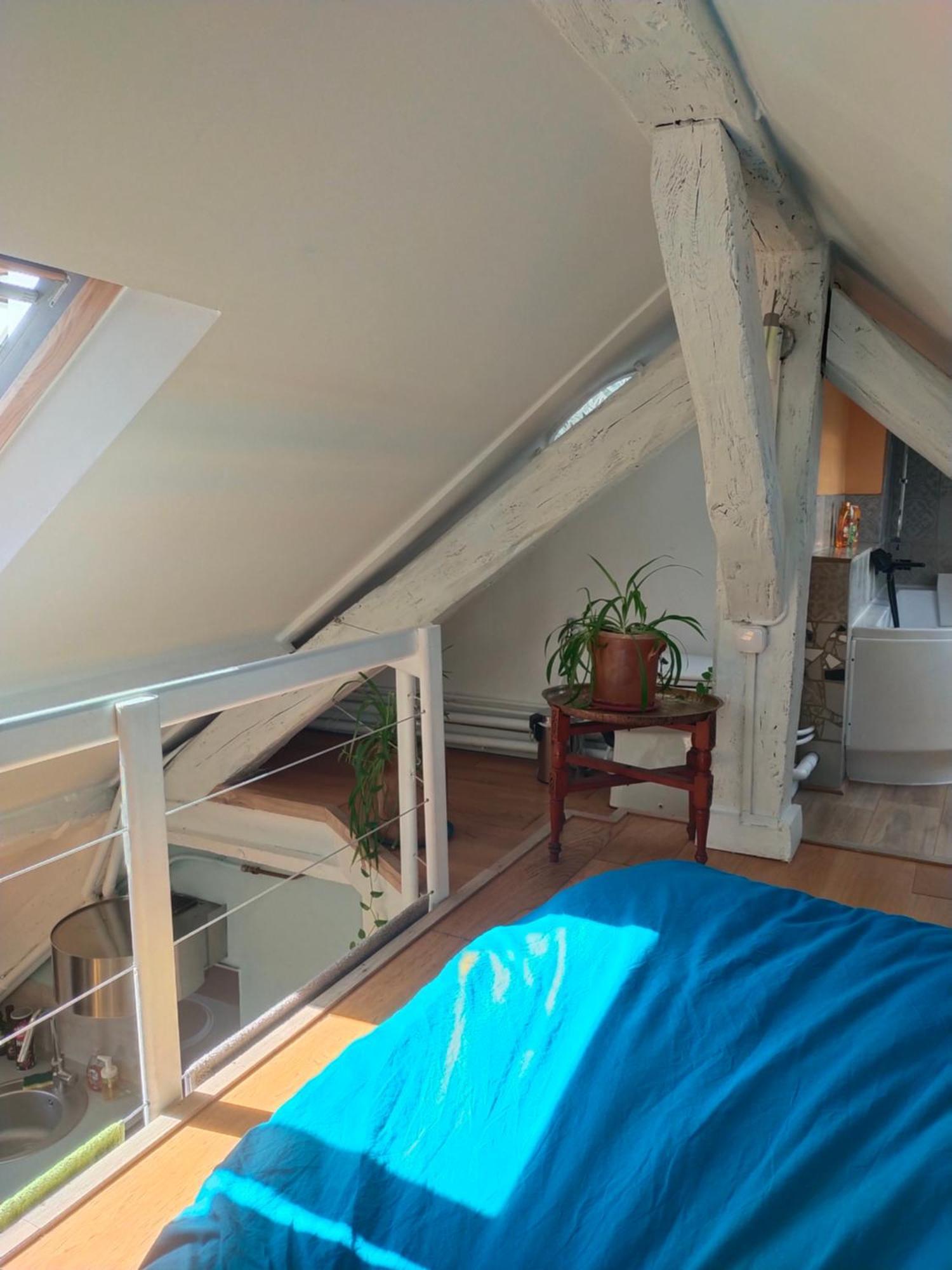 Studio Sous Les Toits Et Mezzanine - Vincennes Kültér fotó