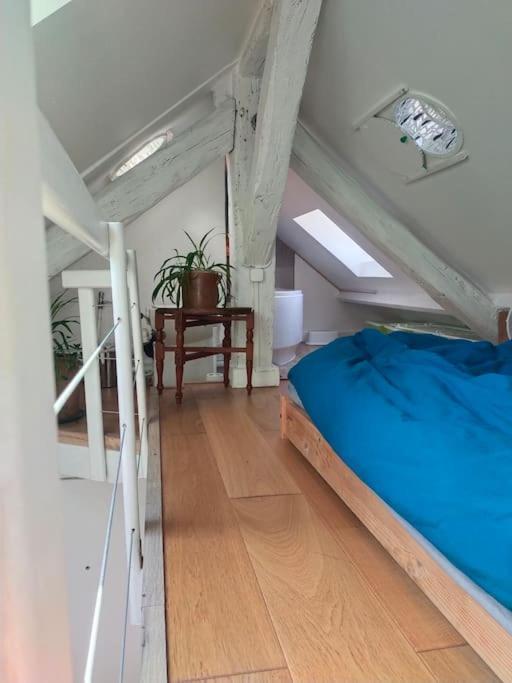 Studio Sous Les Toits Et Mezzanine - Vincennes Kültér fotó