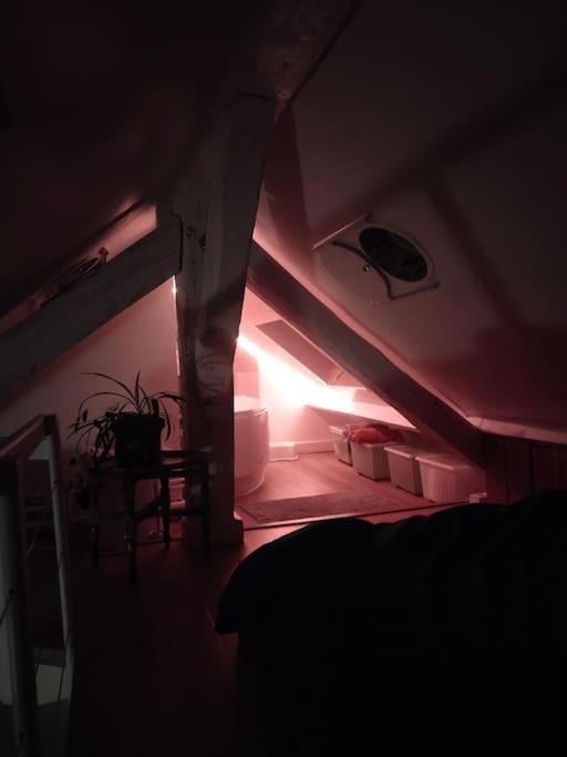 Studio Sous Les Toits Et Mezzanine - Vincennes Kültér fotó